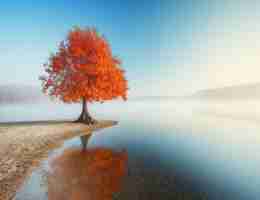 免‌费​AI助‌手﻿脚‌本​